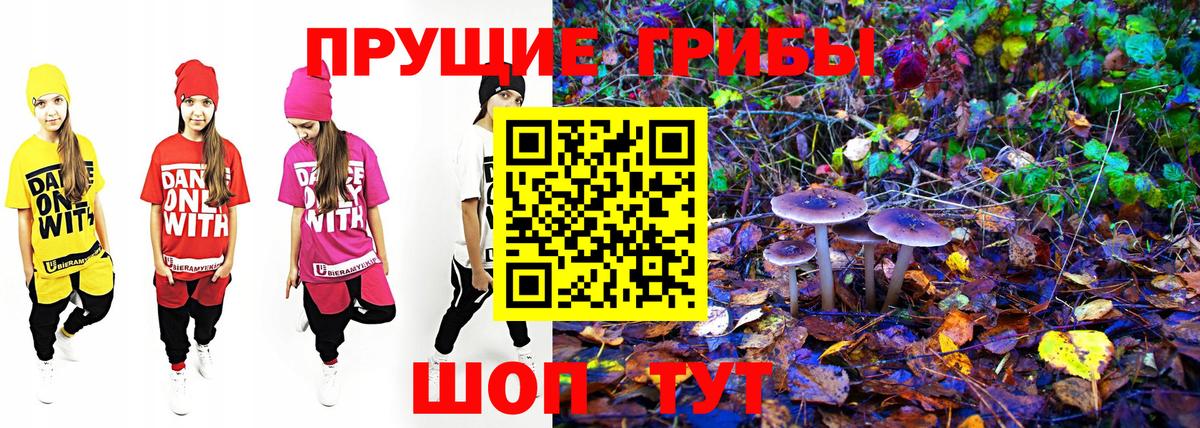 Галлюциногенные грибы Magic Shrooms Сокол