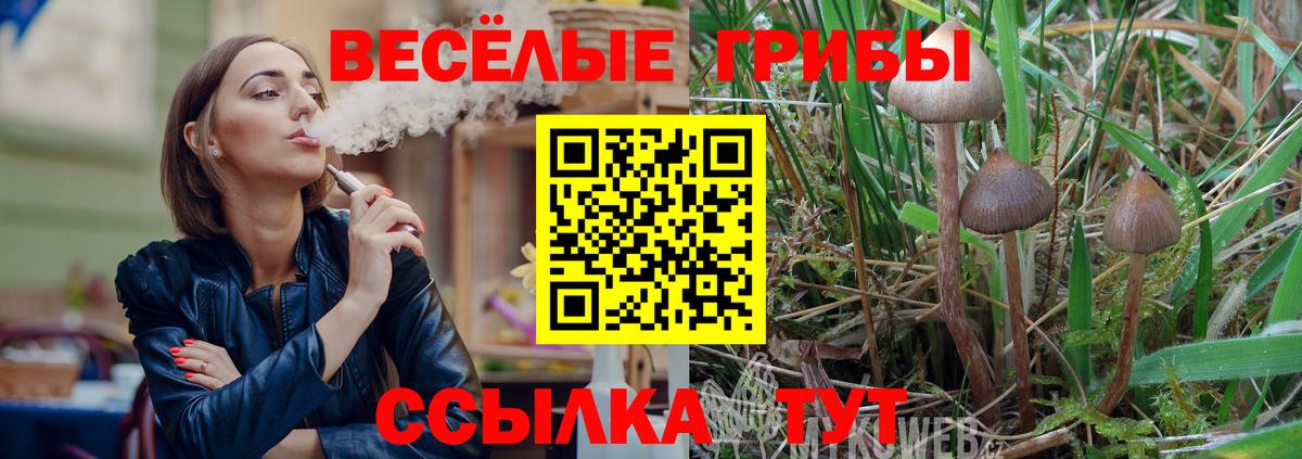 Канабис Сокол